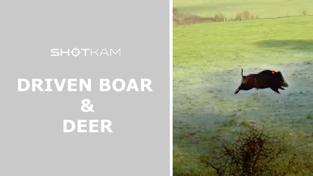 Driven Boar & Deer in Europe | By Maxime Watelet